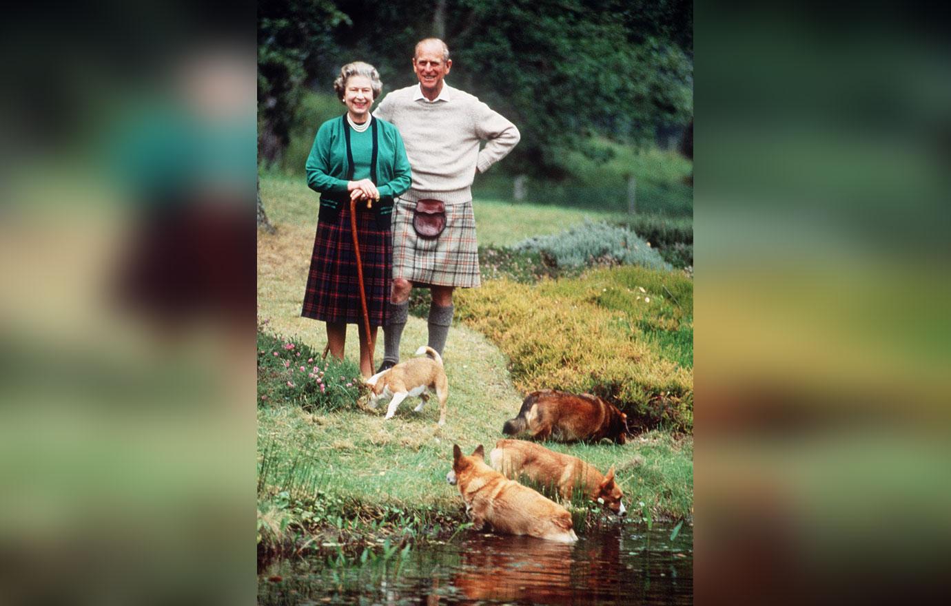 prince andrew surprised queen elizabeth two new corgis