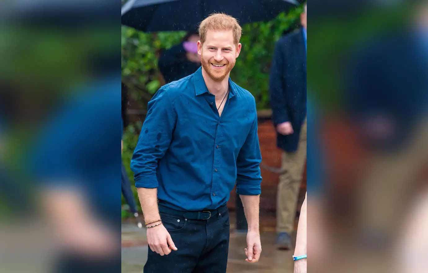 prince harry watches fact checks the crown