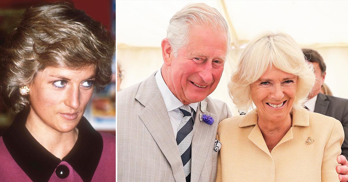 princess diana knew all details about prince charles camilla affair told she was crazy