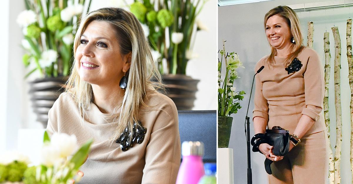 queen maxima of the netherlands visits a cleaning company