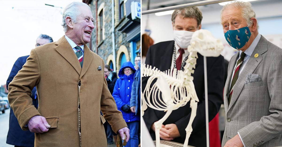 prince charles visits school of veterinary science and hafod hardware in wales tro