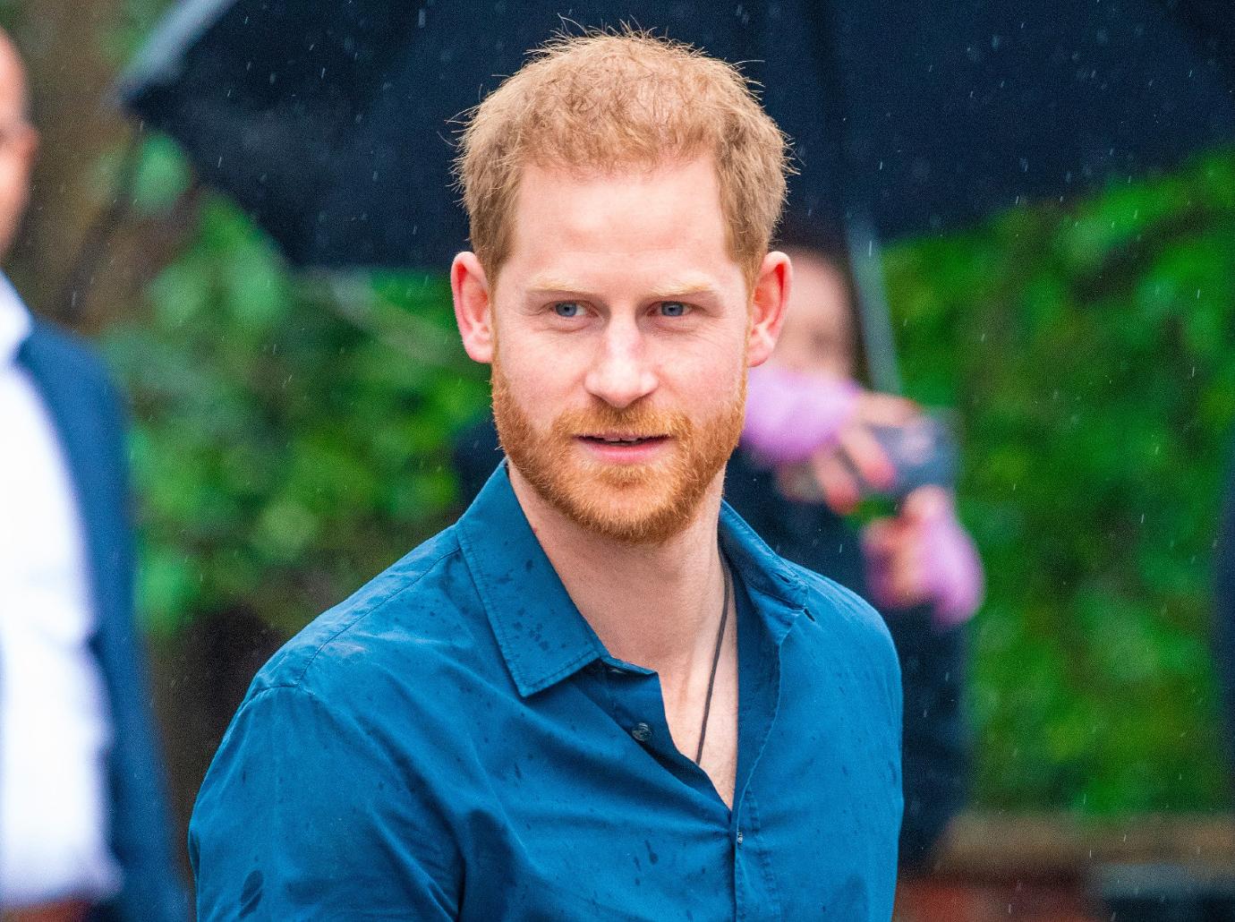 prince harry gallery pic