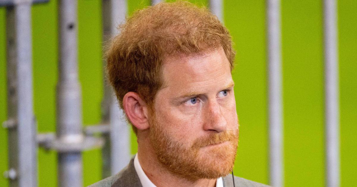 prince harry inflammatory book