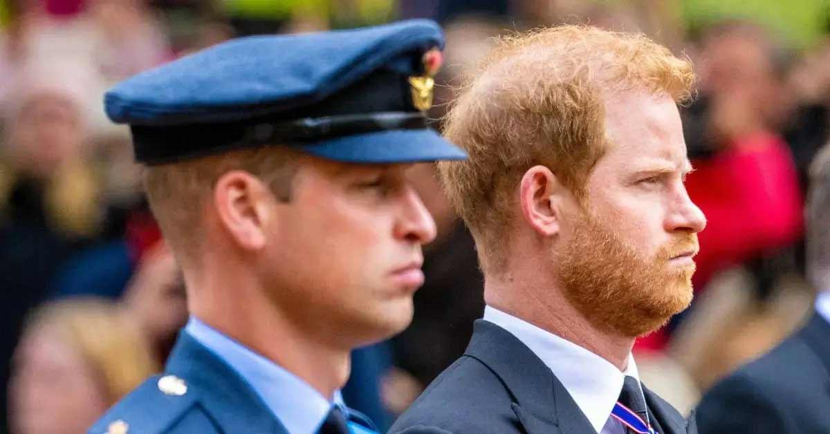 royal family completely exhausted prince harry meghan markle stream misinformationjpg