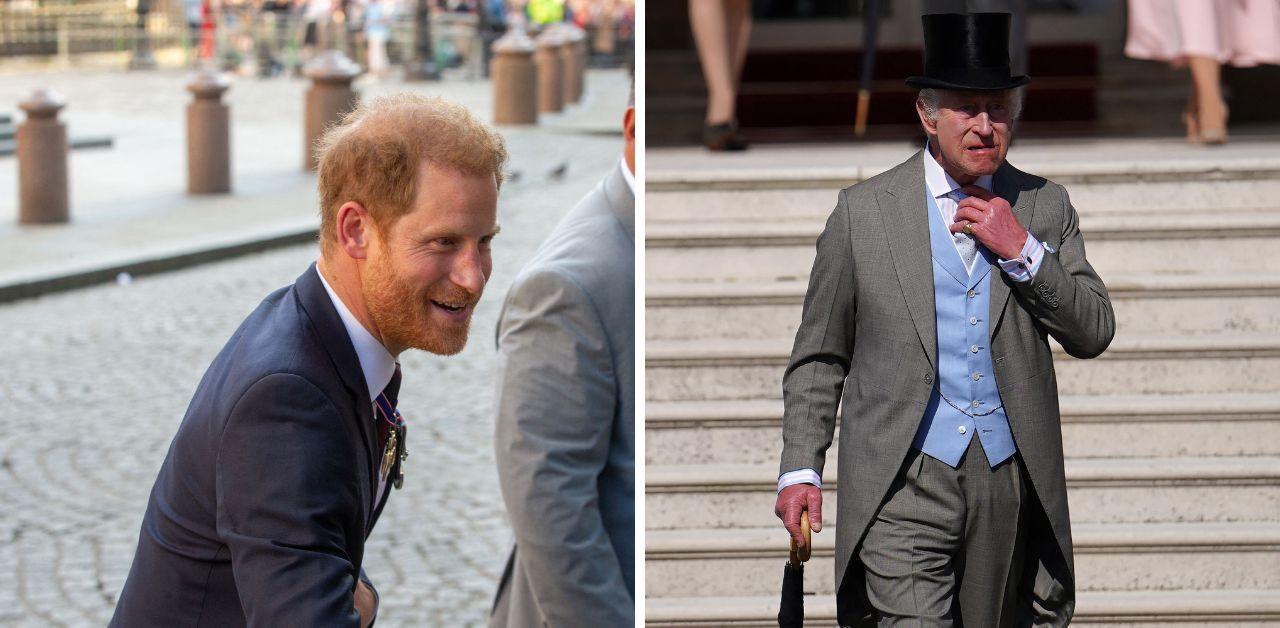 prince harry deeply stung after meeting with king charles scrapped