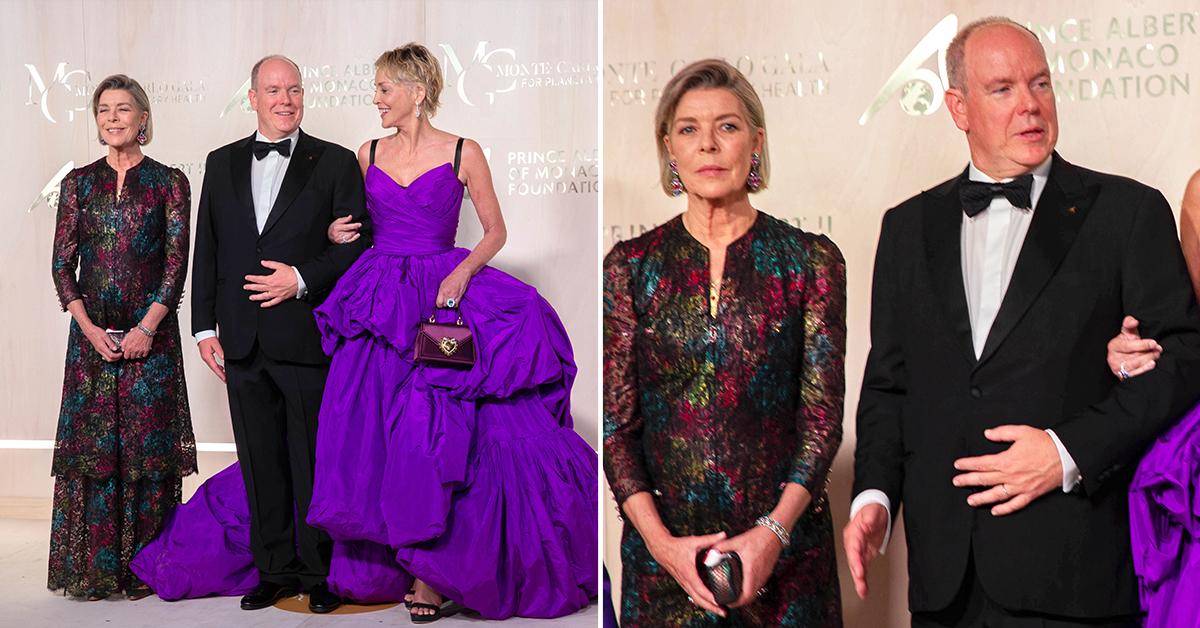 princess caroline of hanover prince albert ii of monaco sharon stone monte carlo gala pp