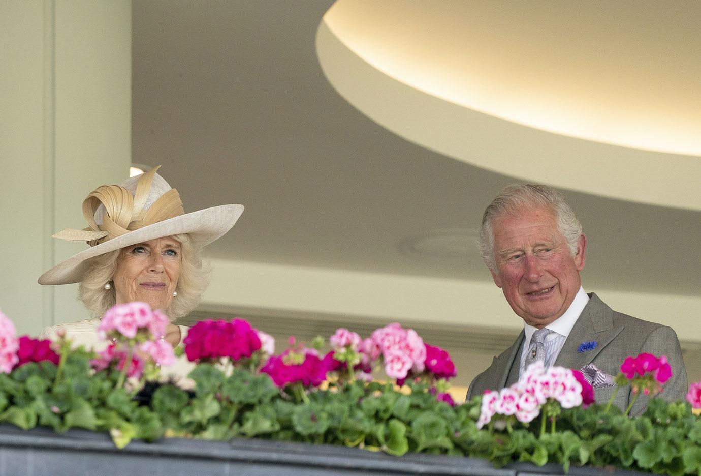 prince edward wife sophie countess wessex attend royal ascot day two