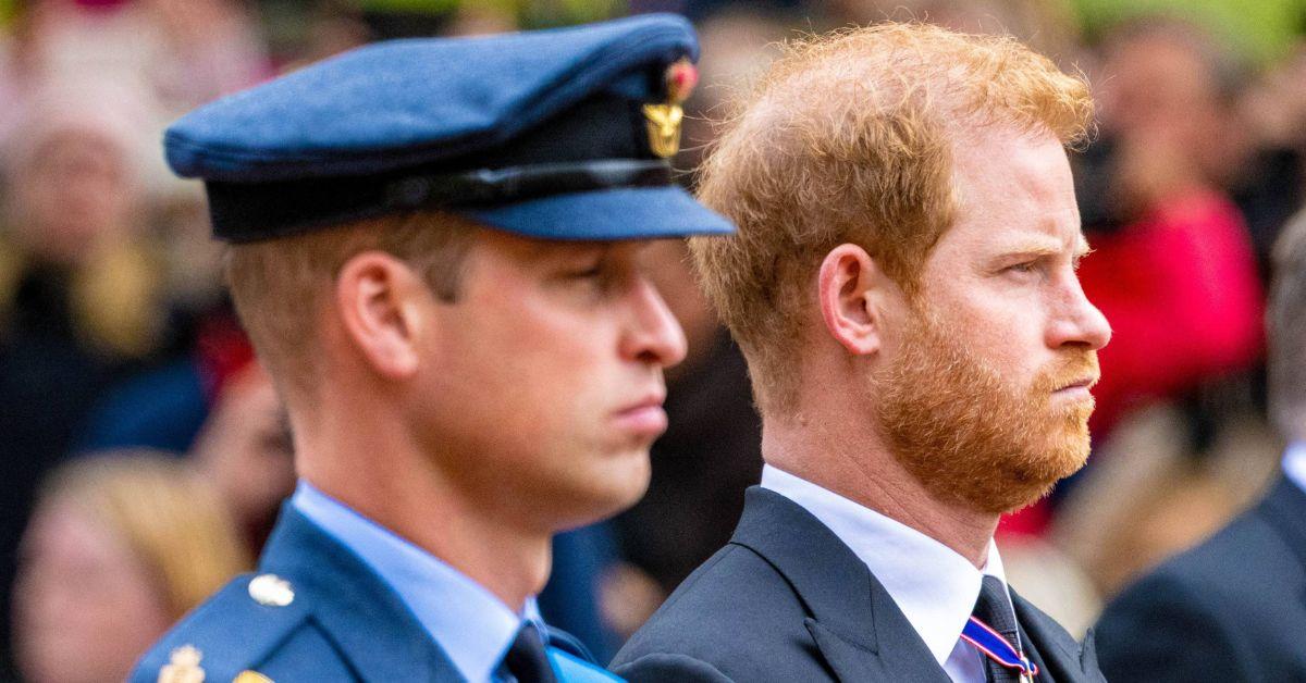 prince william and prince harry