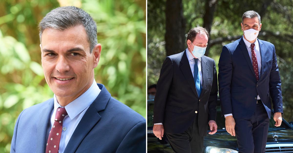 king felipe vi attends an audience with pedro sanchez