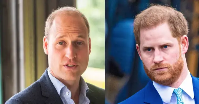 Prince Harry Furious With Prince William For Involving Uncle Charles ...