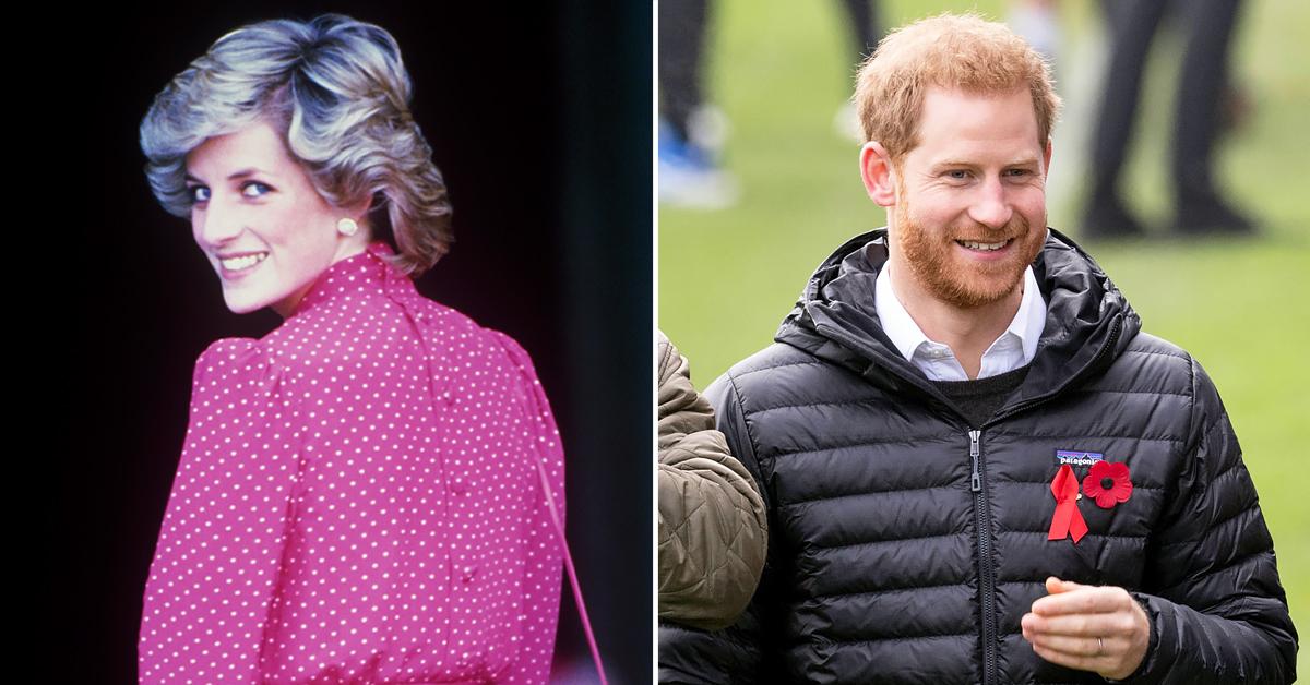 princess diana would have applauded prince harry doing whats best for family tro