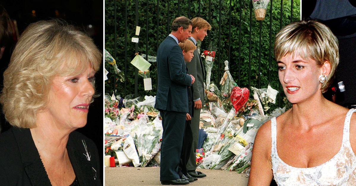 Did Camilla go to Princess Diana's funeral?