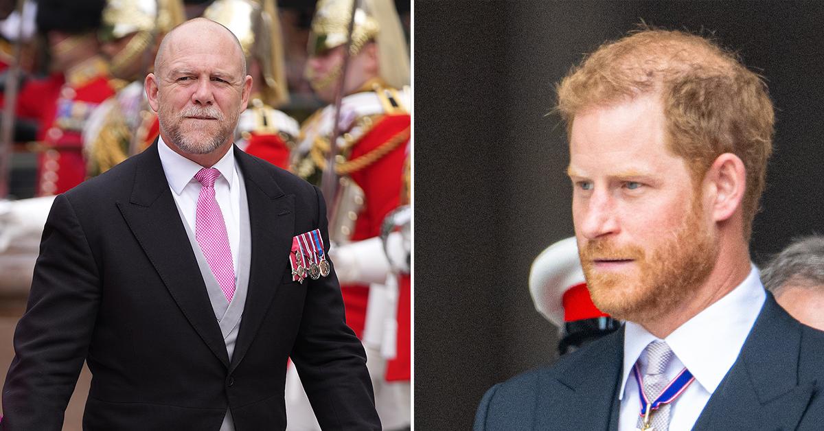 mike tindall calls prince harry derogatory term pp