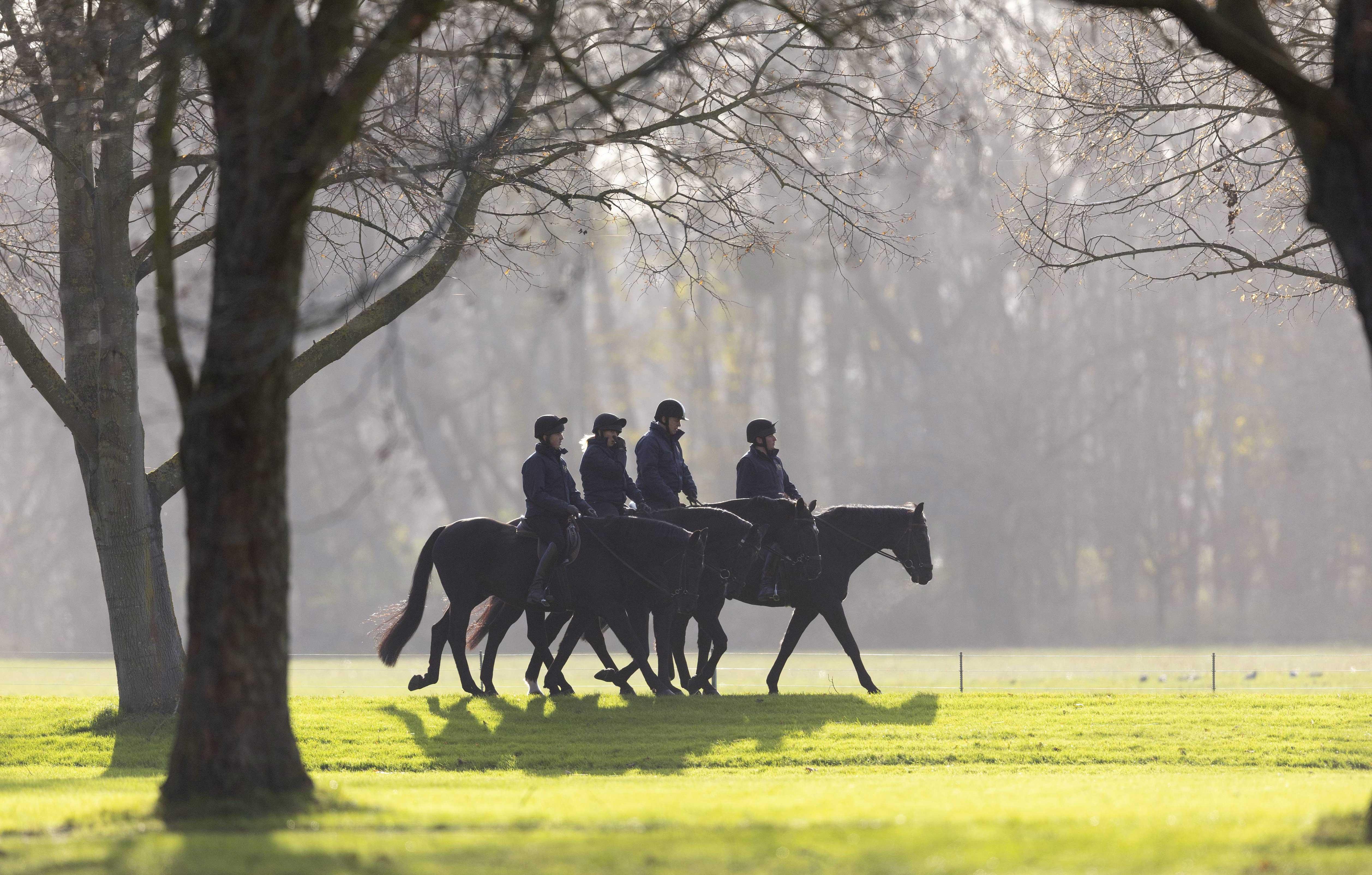 prince andrew out riding at windsor great park