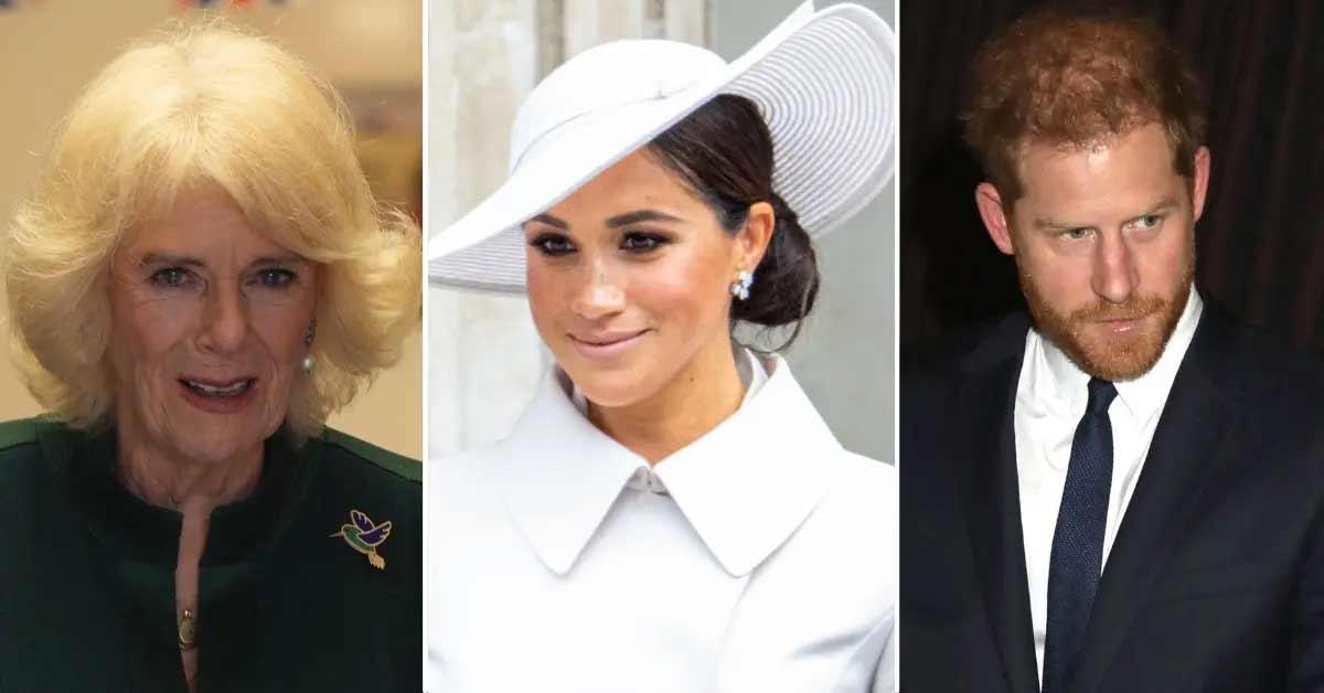 camilla plotted to take down meghan markle before prince harry wedding pp