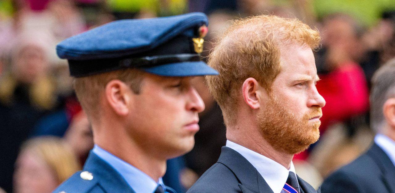 prince harry hopes prince william call spare fallout