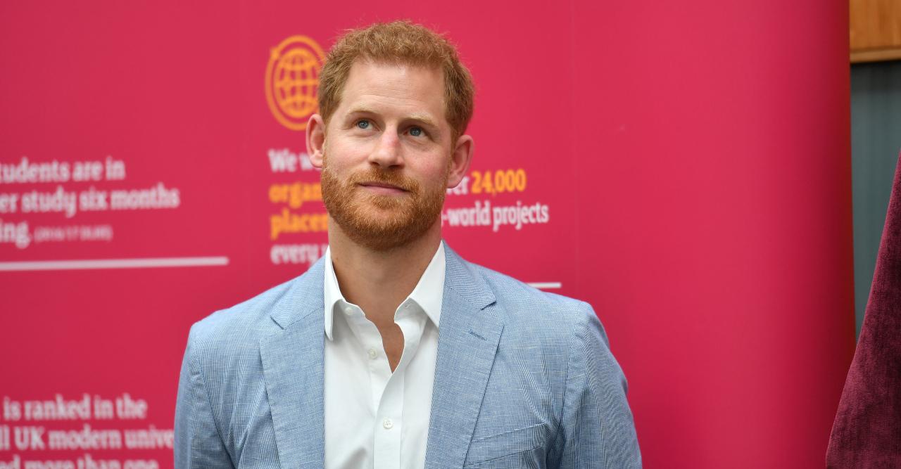 prince harry keeping quiet reveal opinions book