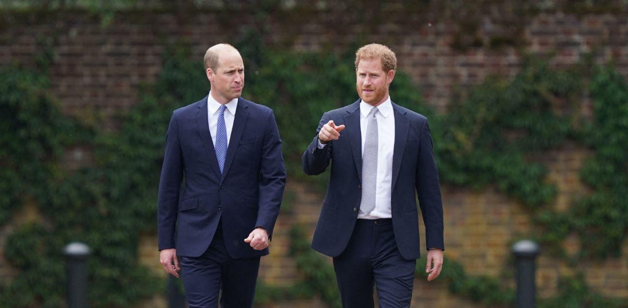 prince harry prince william met princess diana butler