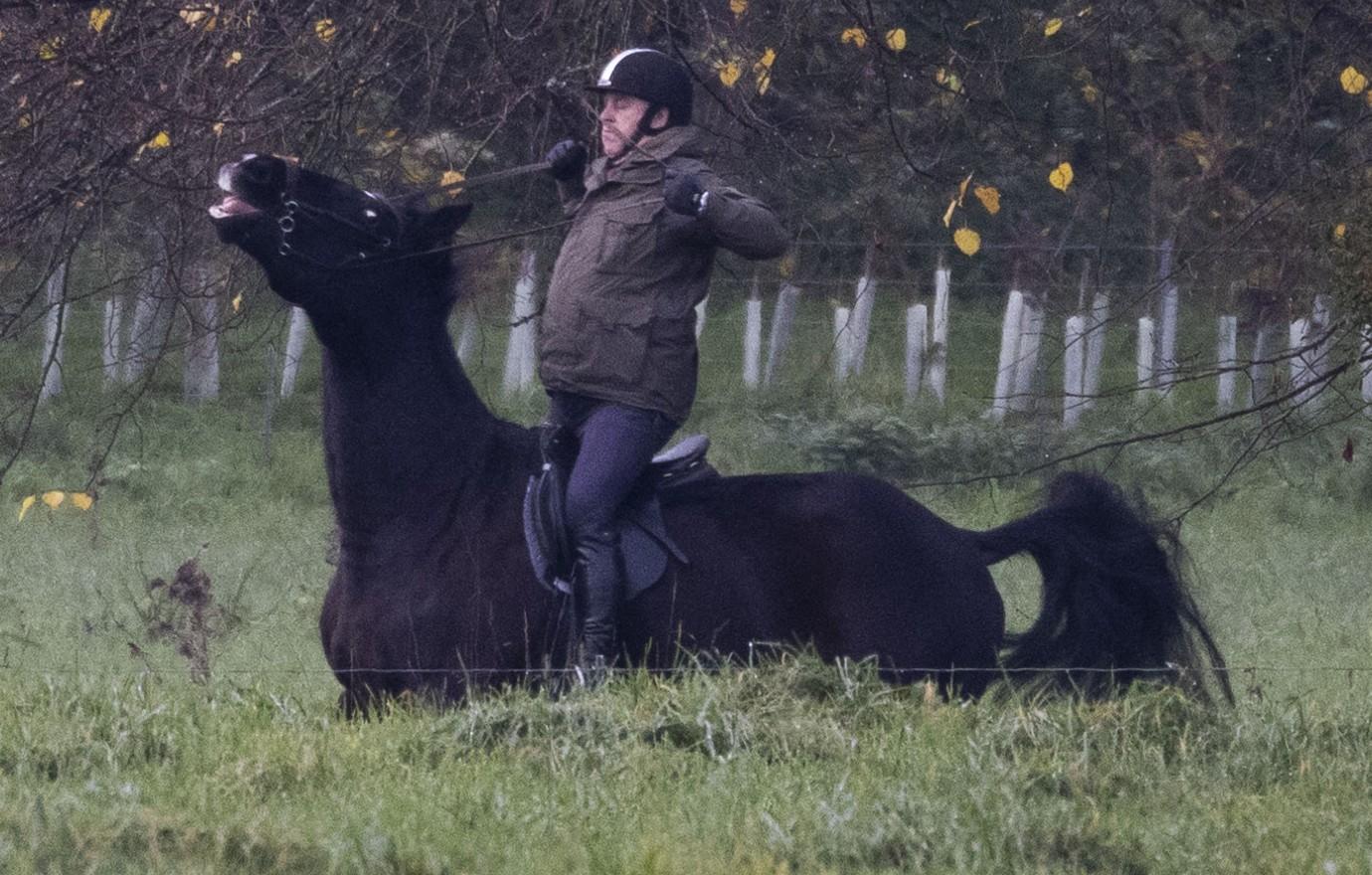 prince andrew riding horse news licensing