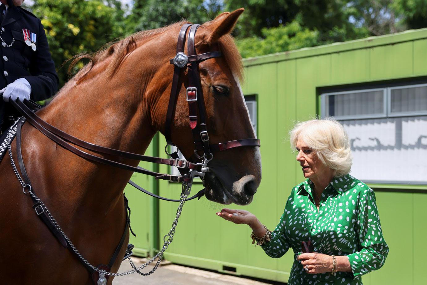 prince charles and duchess camilla visit royal parks in london