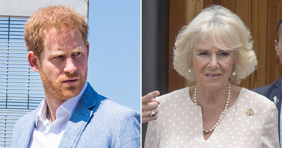 palace fears prince harry write about fraught relationship with camilla