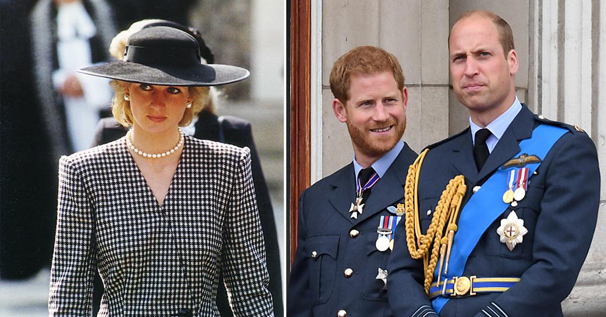 princess diana would be disappointed by prince william prince harrys rift claims biographer