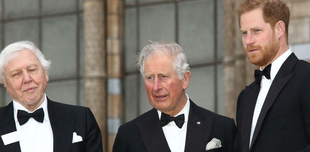 king charles learn mistakes prince harry after cancer diagnosis