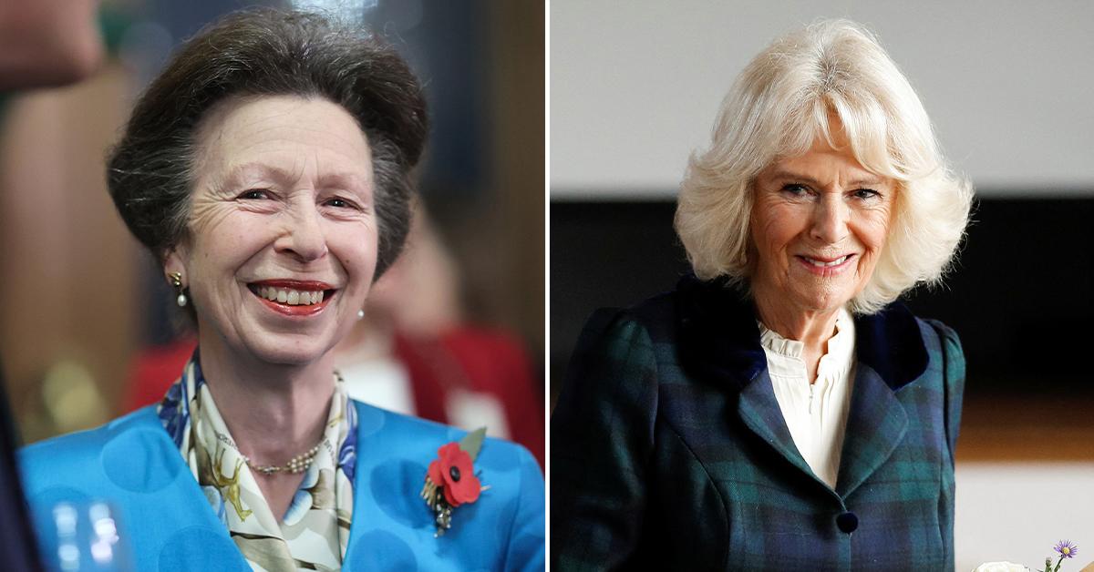 princess anne camilla never true queen pp