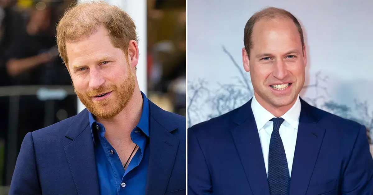 royal family urging prince harry prince william to have sit down pp