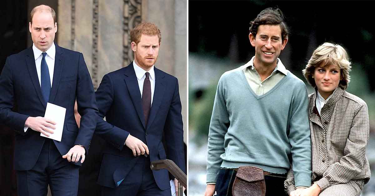 former royal chef likens prince william prince harrys rift to princess diana prince charles troubled marriage