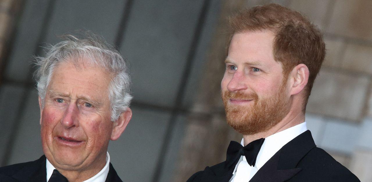 prince harry slammed declining king charles olive branch