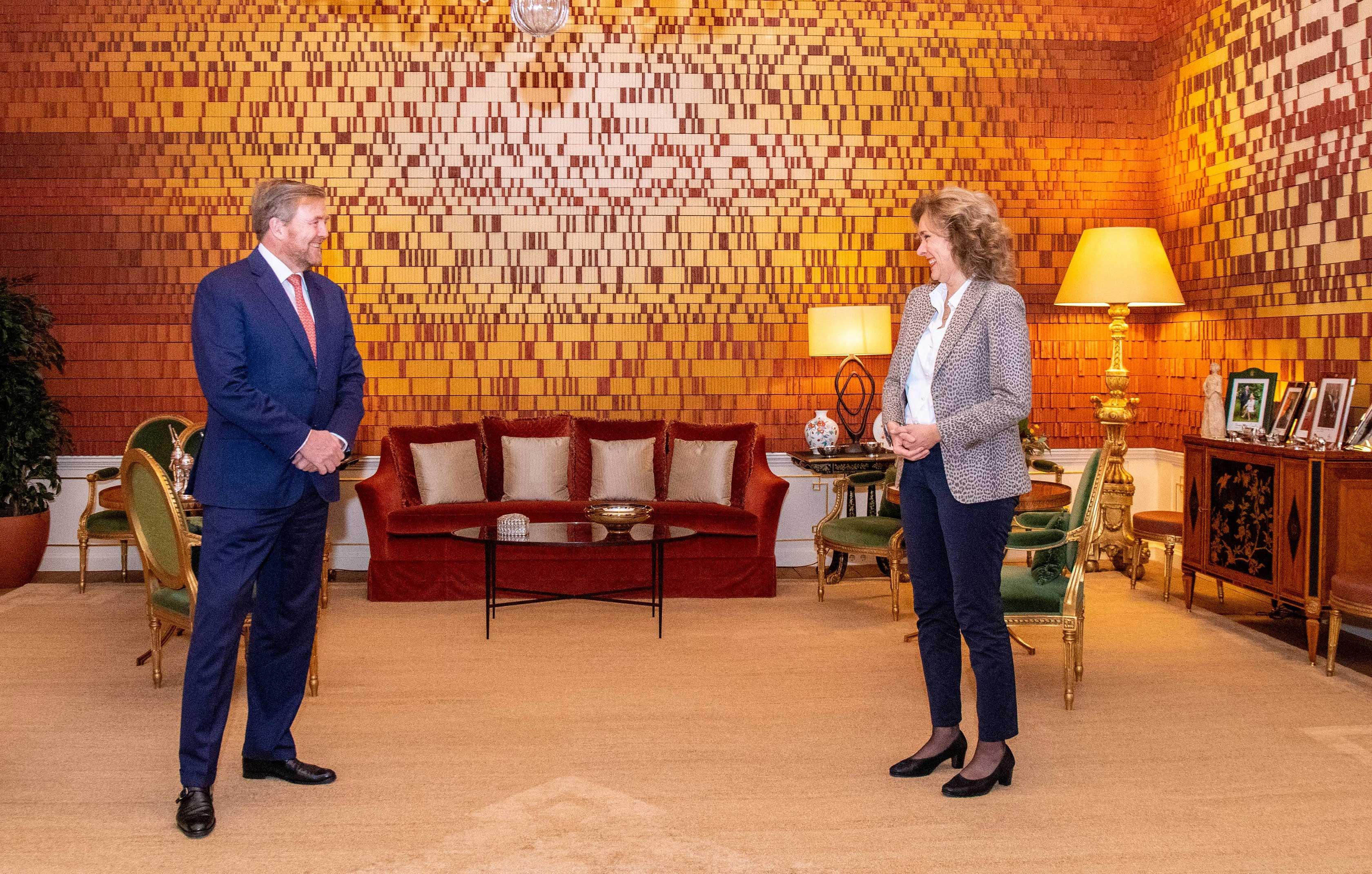 king willem alexander receives chairman of the second chamber