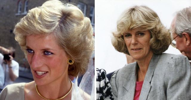 A Look Back At The Time Princess Diana Finally Confronted Queen Camilla