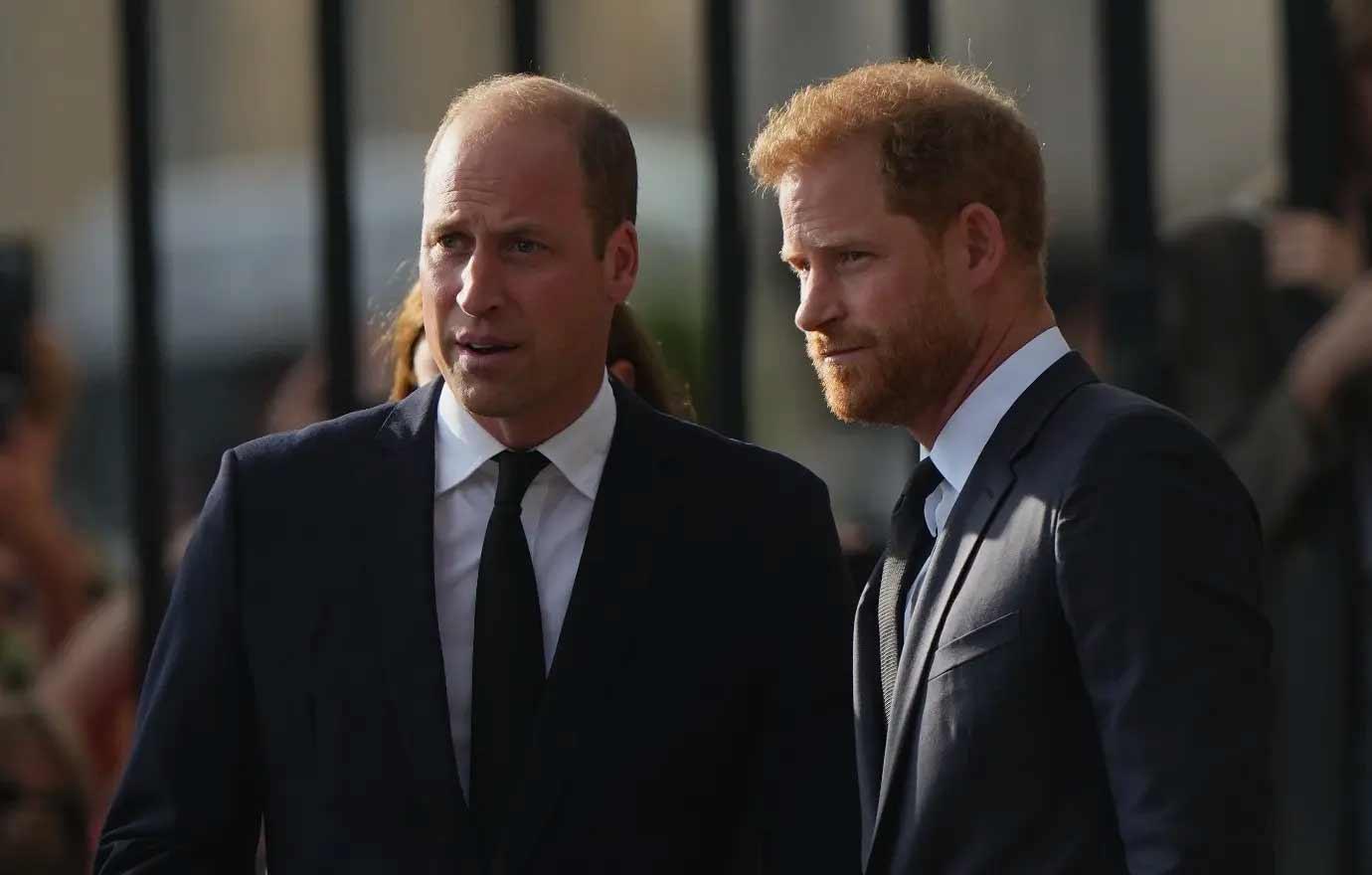 prince harry prince william