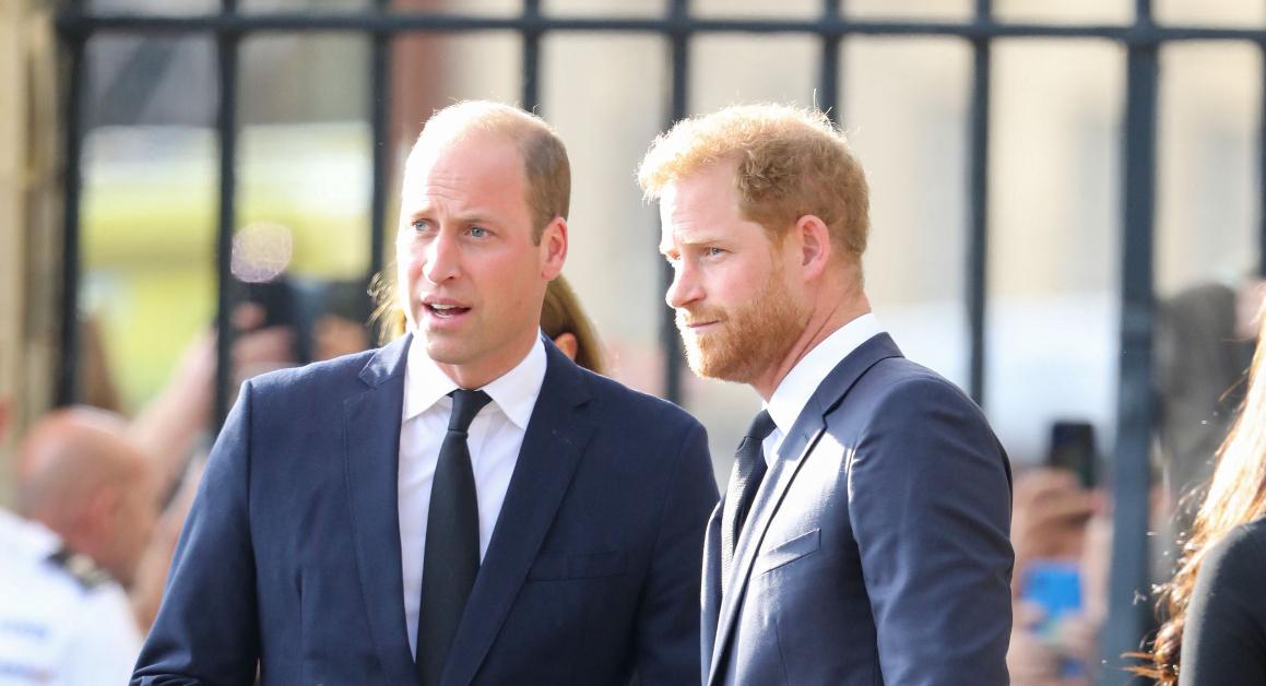 prince harry william inseparable