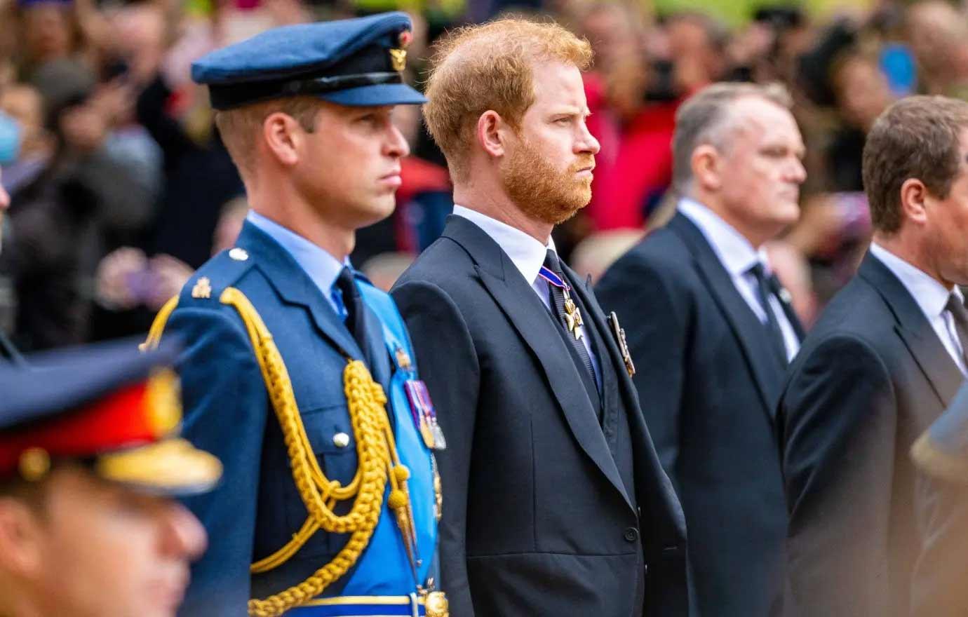 prince harry prince william teased anxiety