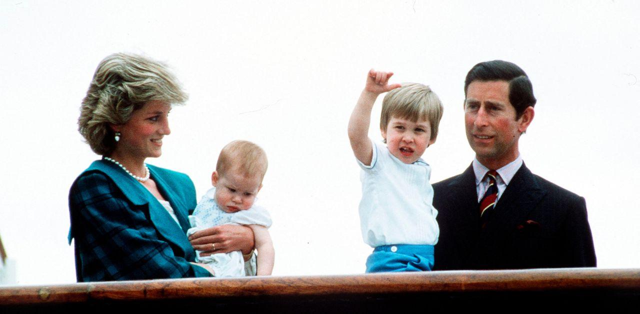 princess diana would end prince harry prince william public feud