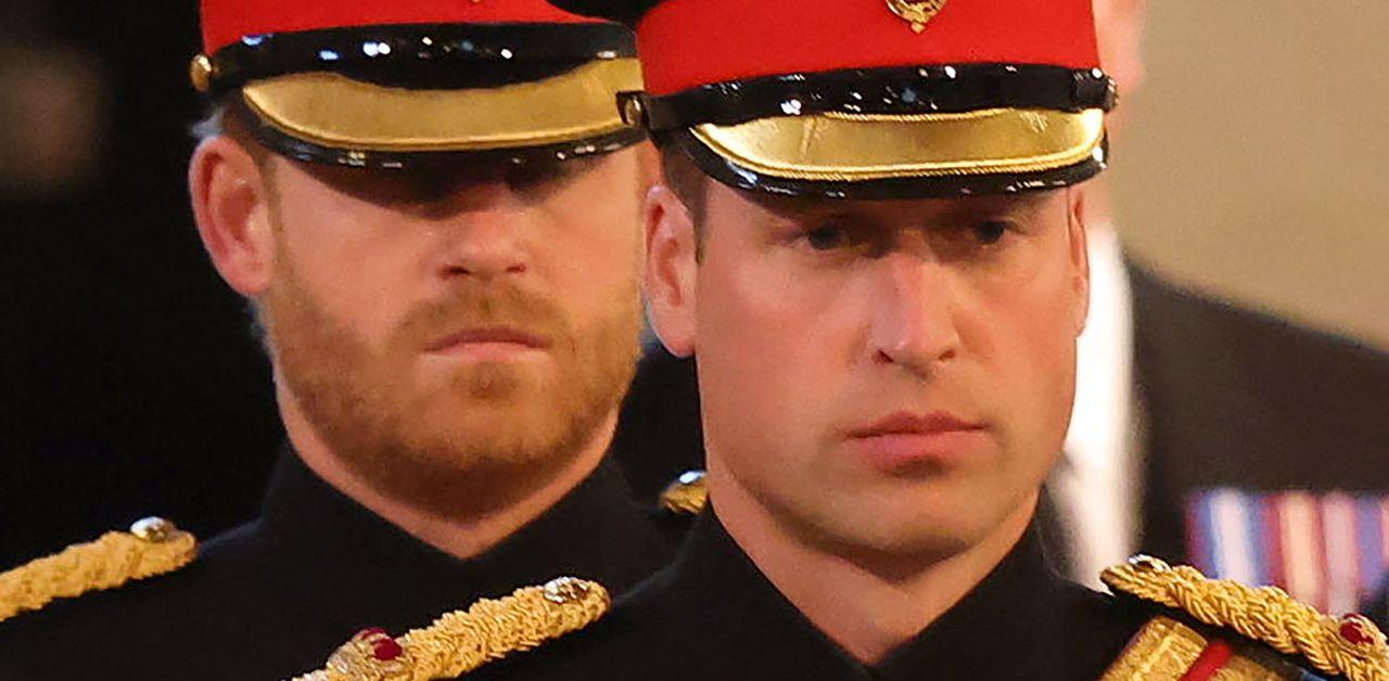 prince williams special tribute to prince harry in behind the scenes video