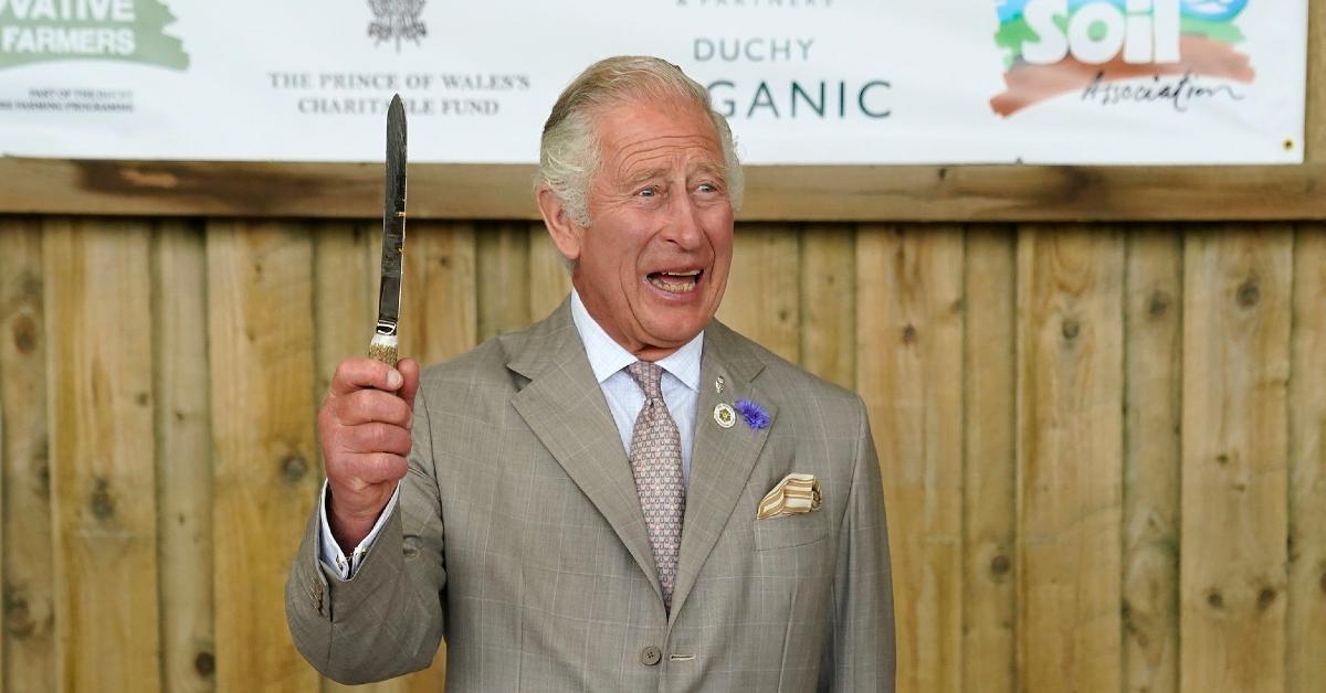 prince charles scandal money