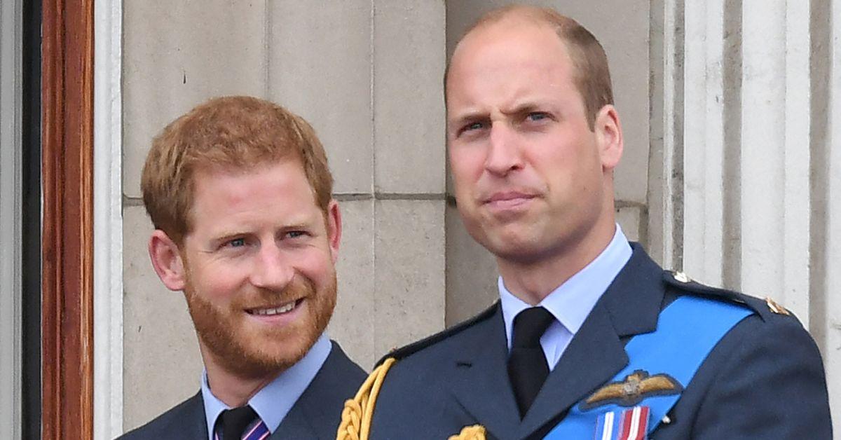 prince harry and prince william