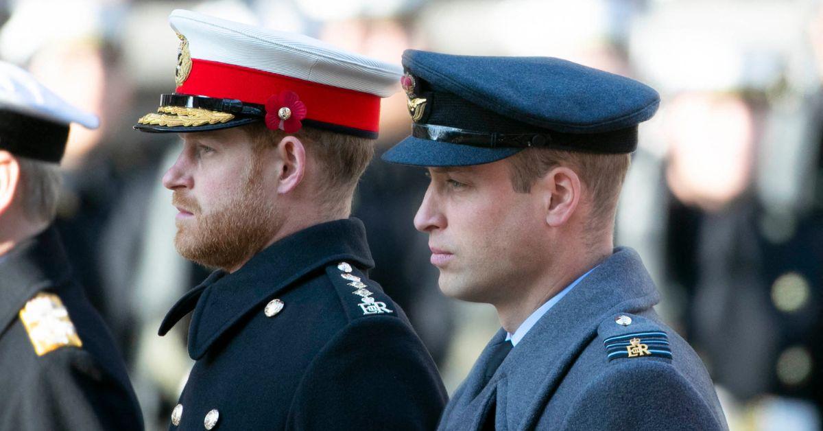 prince william and prince harry