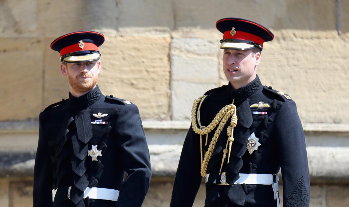 harry william body language