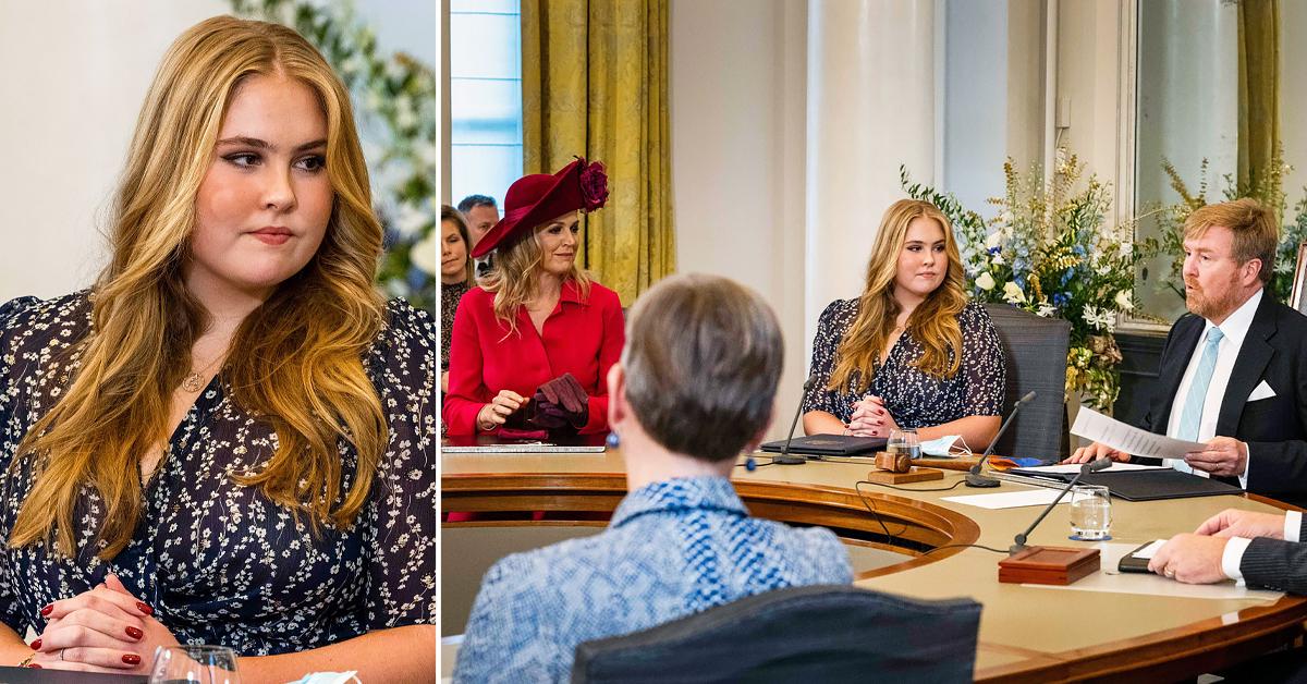 princess amalia of the netherlands council of state seat tro