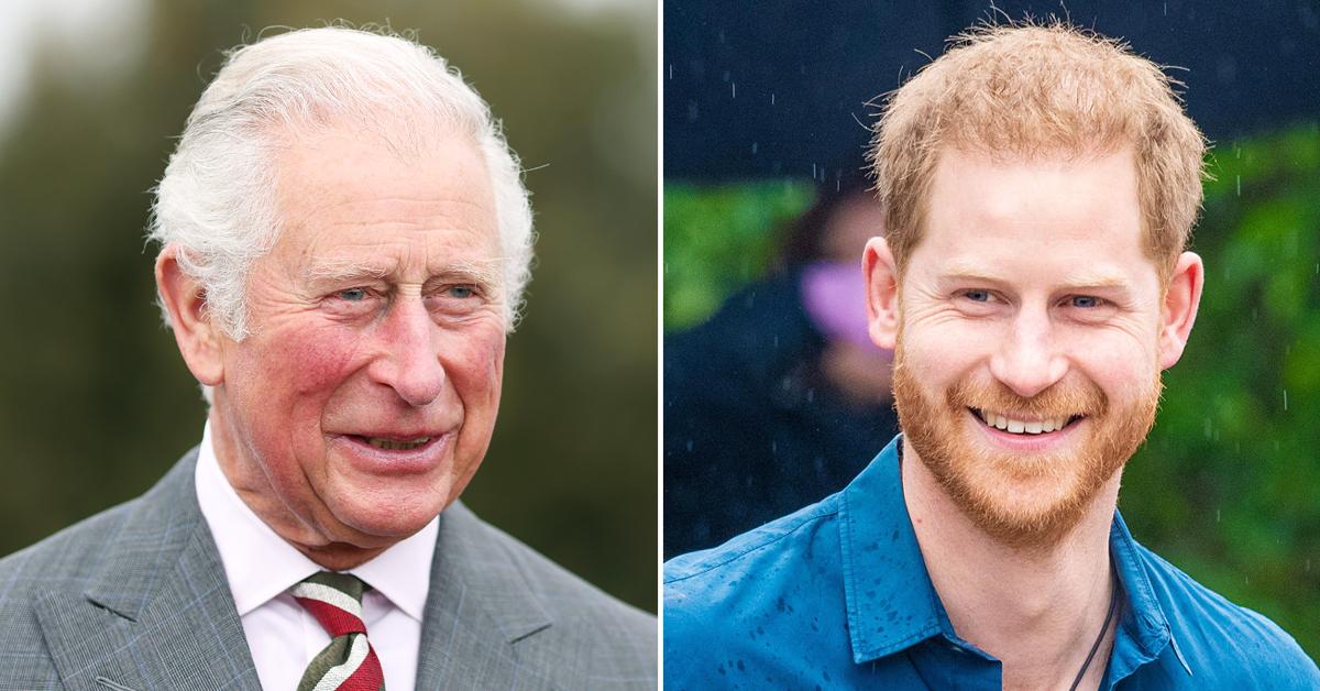 prince charles prince harry regular contact after birth lilibet tro
