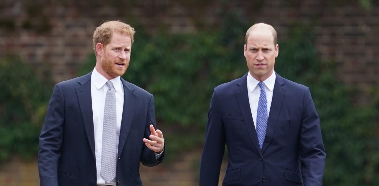 prince harry memoir final straw prince william