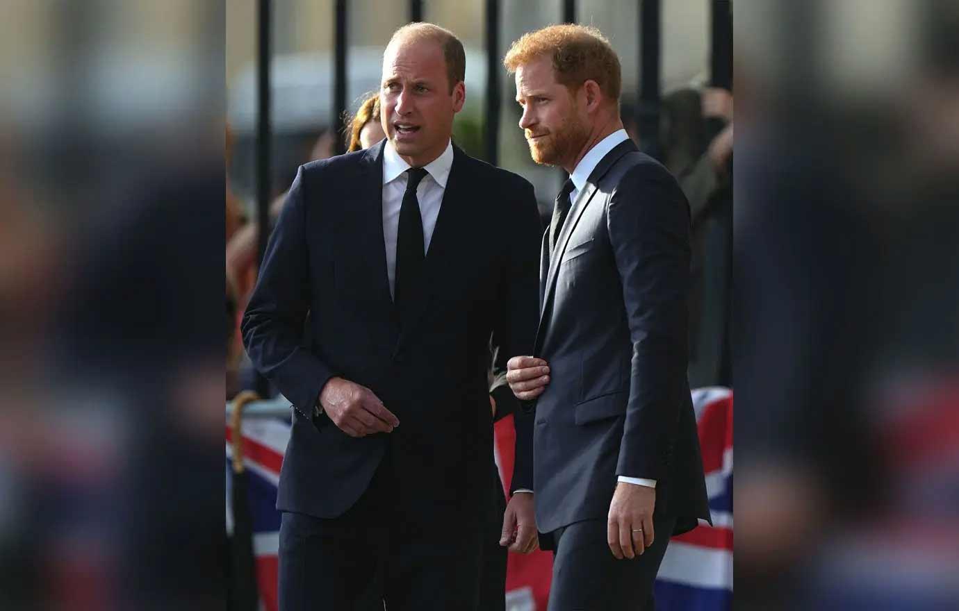 royal family urging prince harry prince william to have sit down