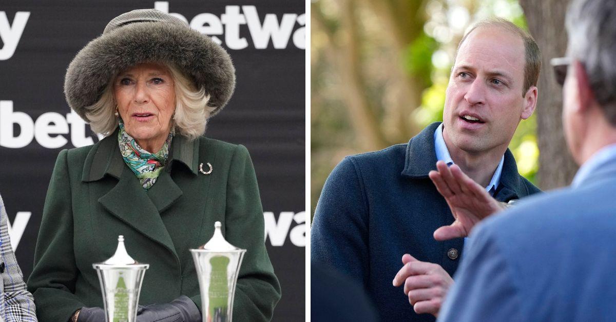 Prince William Removes Camilla's Sister From Duchy Of Cornwall Payroll(01)