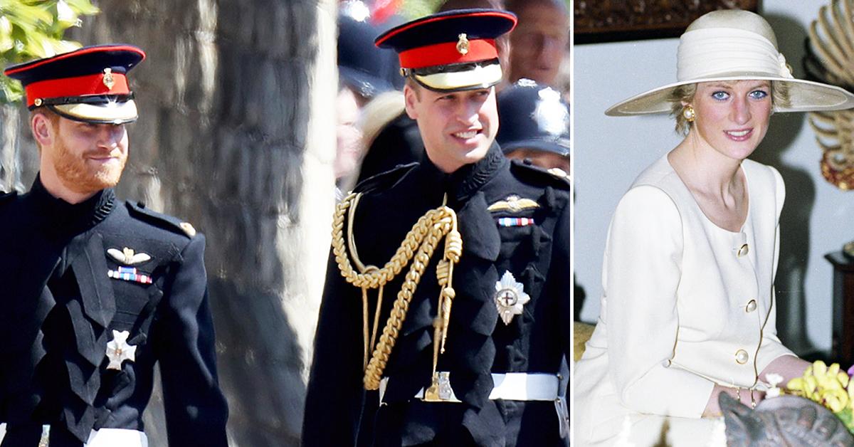 despite rift prince william prince harry come to agreement for princess diana statue tro