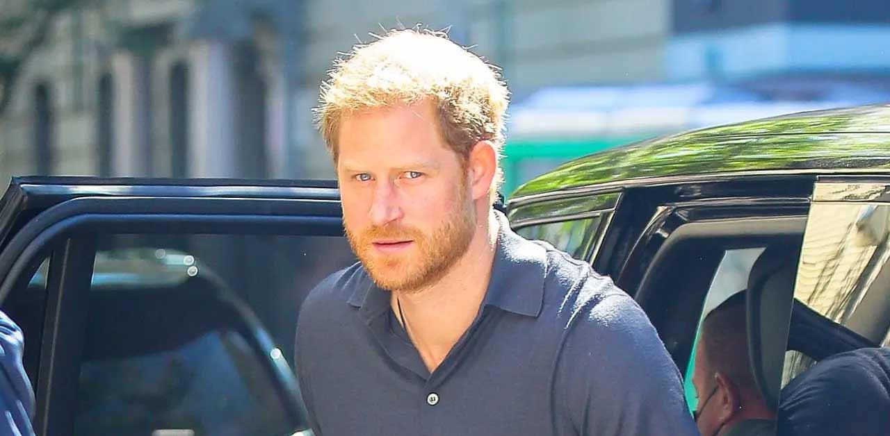 prince harry spotted dog california memoir leak