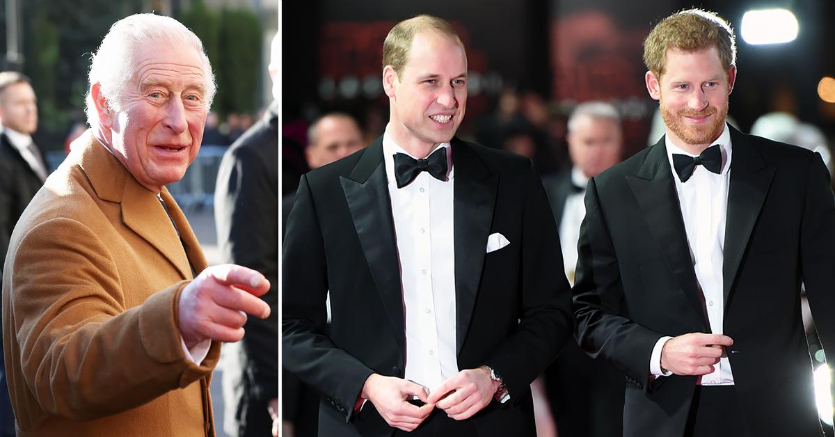 prince charles applauds prince william prince harry environmental tro